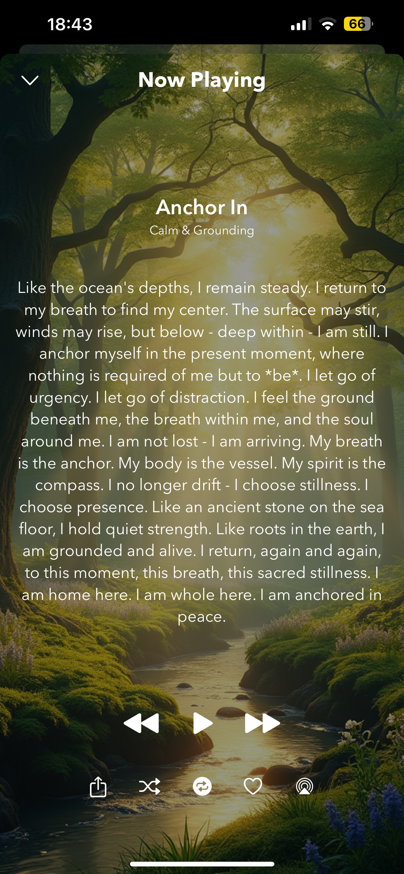 AffirmaFlow affirmation player interface
